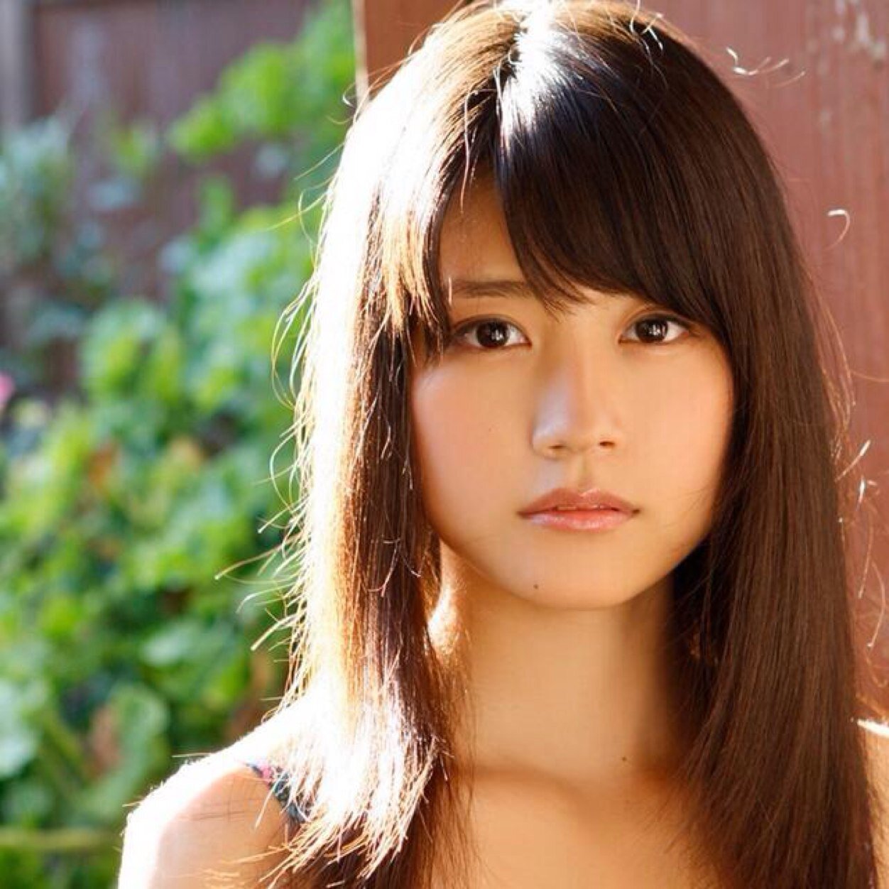 �l�C,����,�^�����g,���D,2017,2016