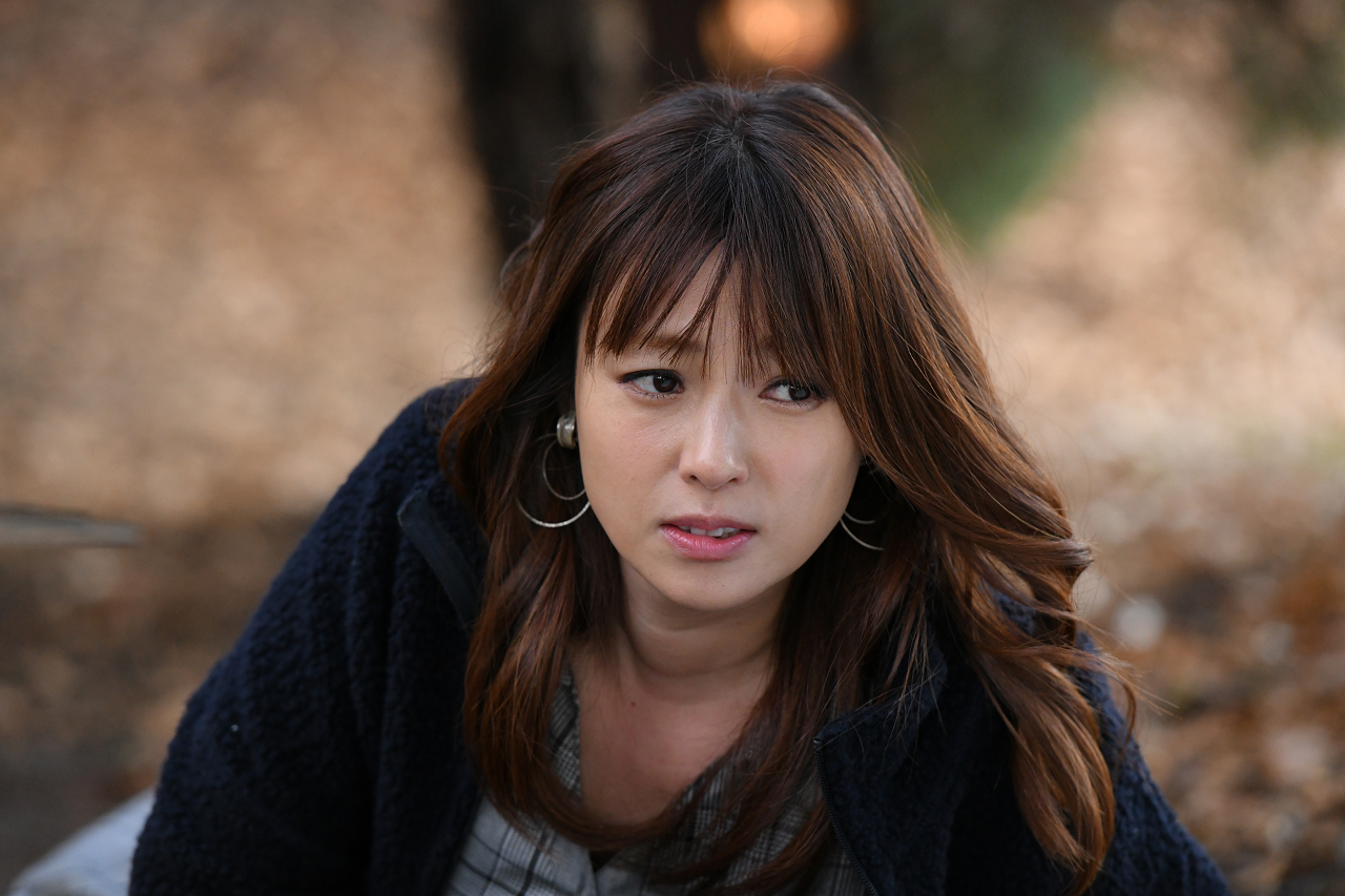 �l�C,����,�^�����g,���D,2017,2016