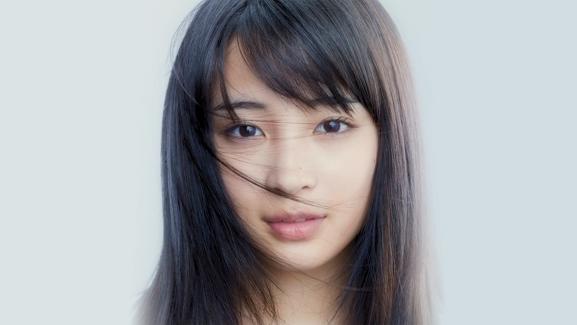 �l�C,����,�^�����g,���D,2017,2016