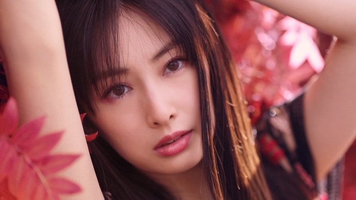 �l�C,����,�^�����g,���D,2017,2016