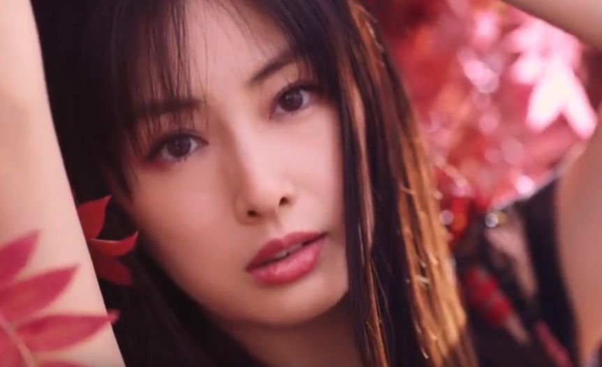 �l�C,����,�^�����g,���D,2017,2016