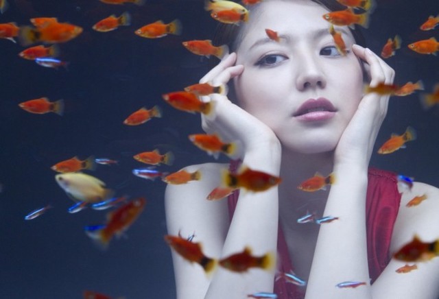 �l�C,����,�^�����g,���D,2017,2016